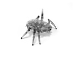 HexBug Szkarabeusz - Szürke